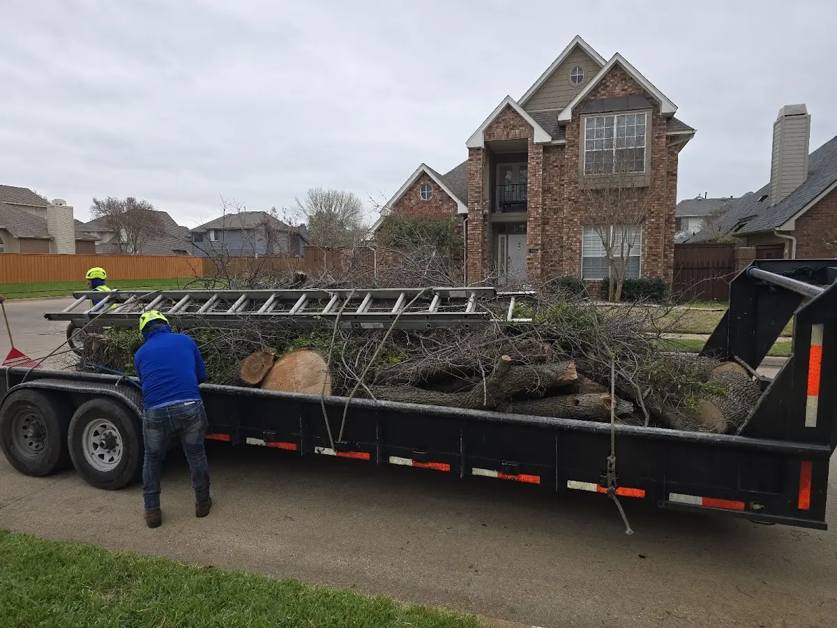 Expert Tree Fertilization with proper safety equipment in Fenwick